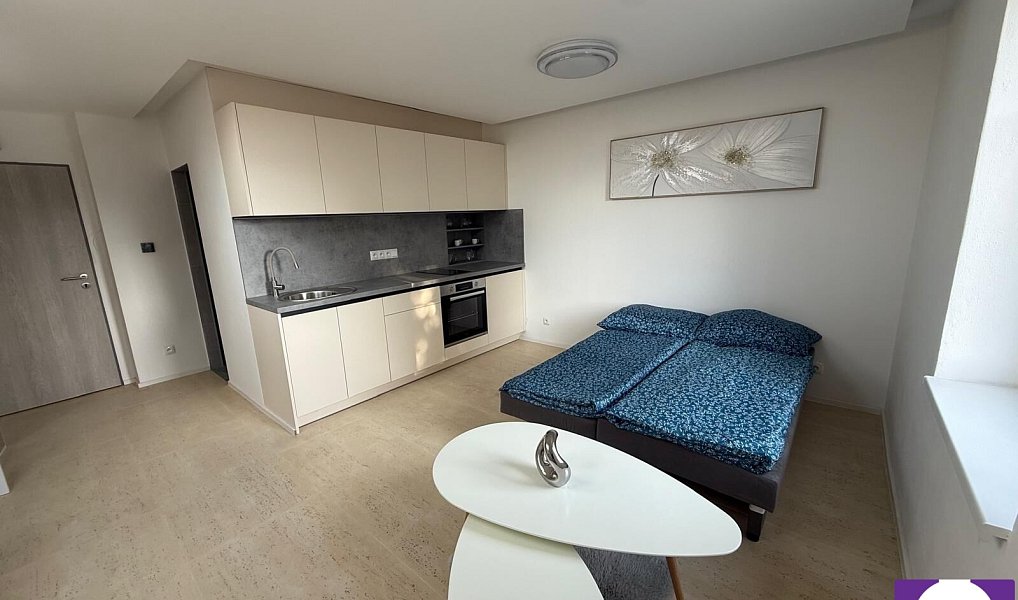 Prodej bytu 1+kk 25 m², Horní Planá – náhled fotky 4