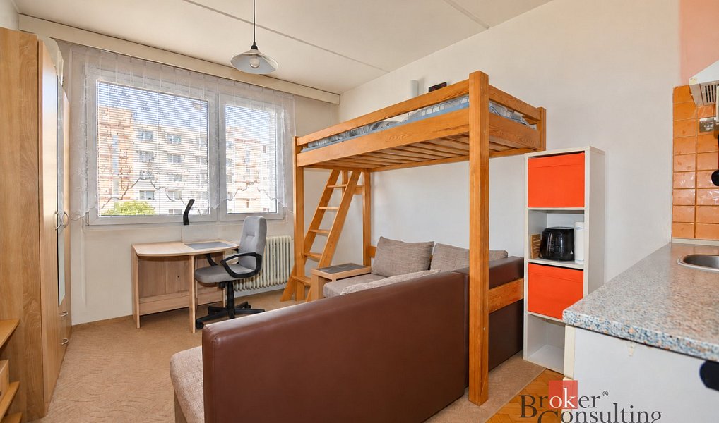 Pronájem bytu 1+kk 20 m², Plzeň – náhled fotky 2