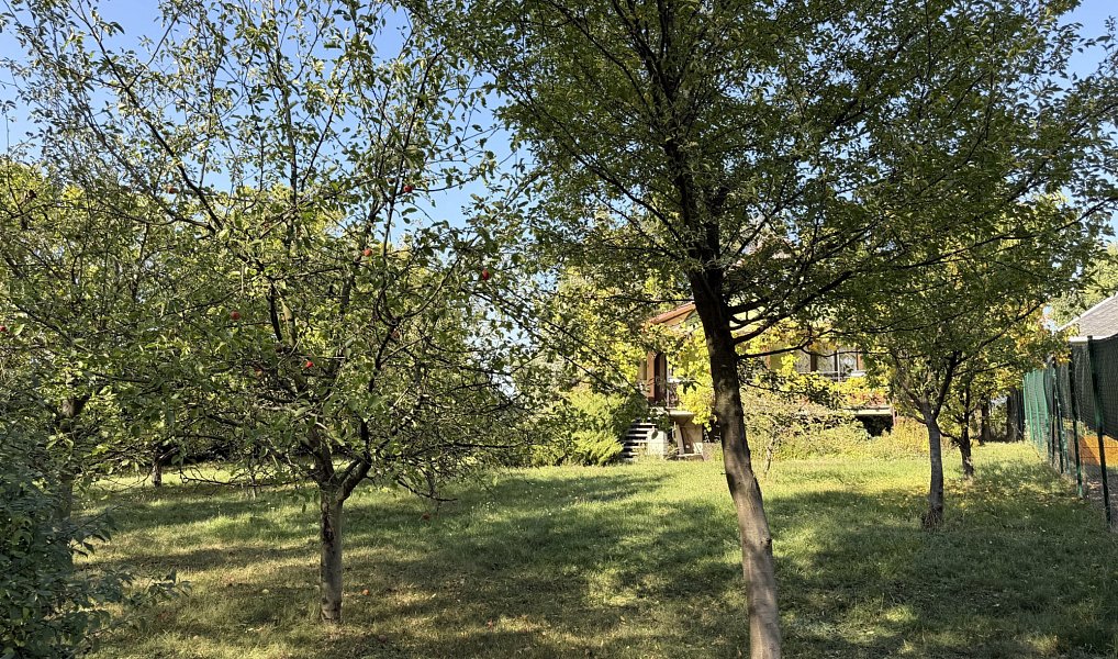 Prodej chaty/chalupy 44 m² s pozemkem 902 m², Bořenovice – náhled fotky 10