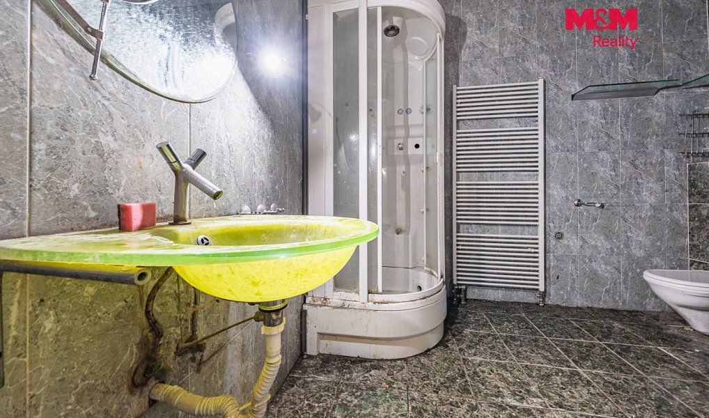 Prodej domu 287 m² s pozemkem 797 m², Žiželice – náhled fotky 8