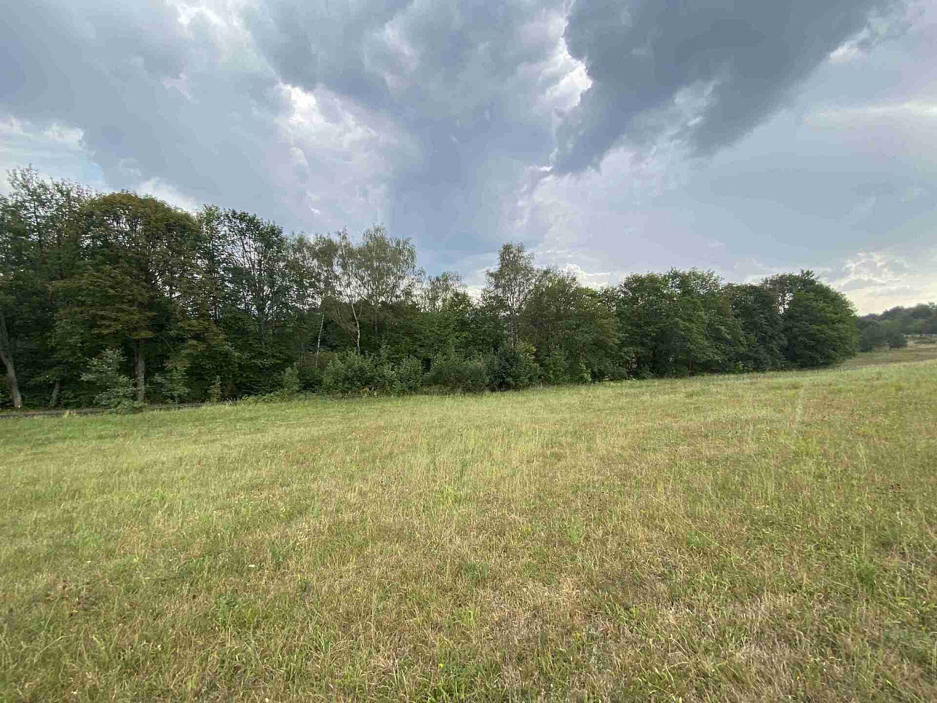 Prodej pole 1 197 m² – fotografie 5