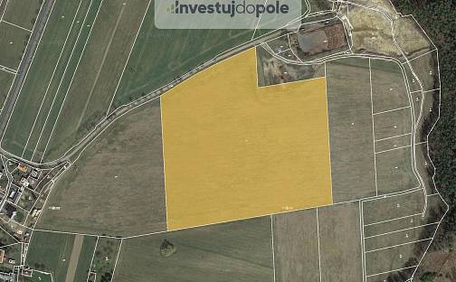 Prodej pole 68 166 m², Černíny, okres Kutná Hora