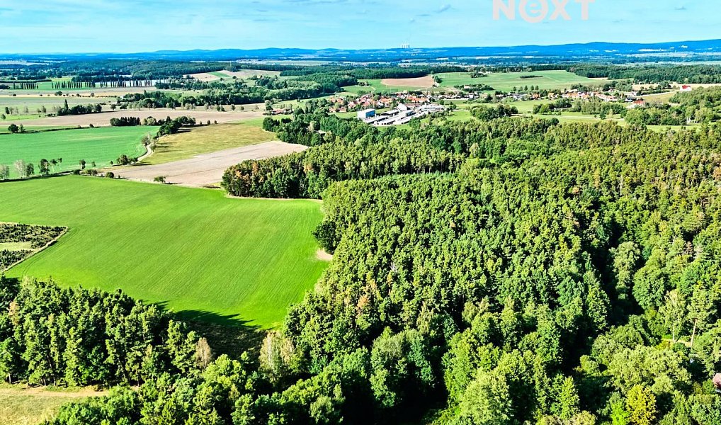 Prodej lesa 13 404 m², Hradce – náhled fotky 3