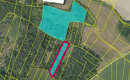 Prodej lesa 3 635 m², Malý Bor, okres Klatovy