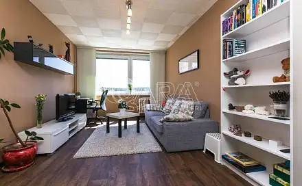 Pronájem bytu 2+kk 46 m²