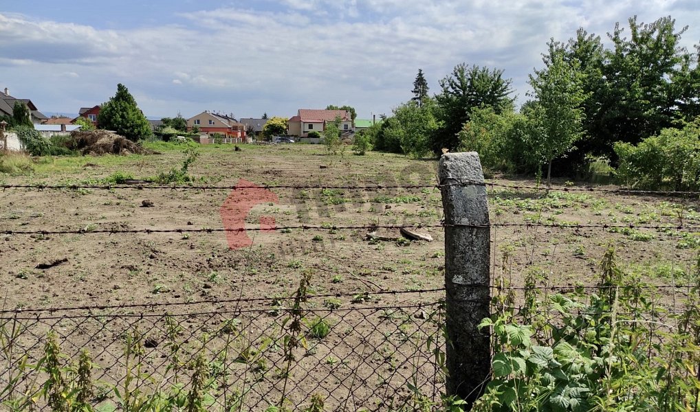 Prodej zahrady 4 174 m², Charváty – náhled fotky 4