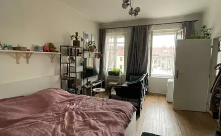 Pronájem bytu 1+1 48 m²