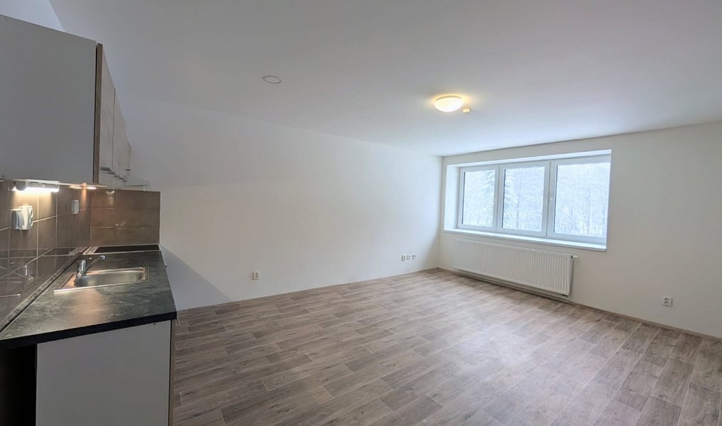 Pronájem bytu 2+kk 59 m², Peruc – náhled fotky 12