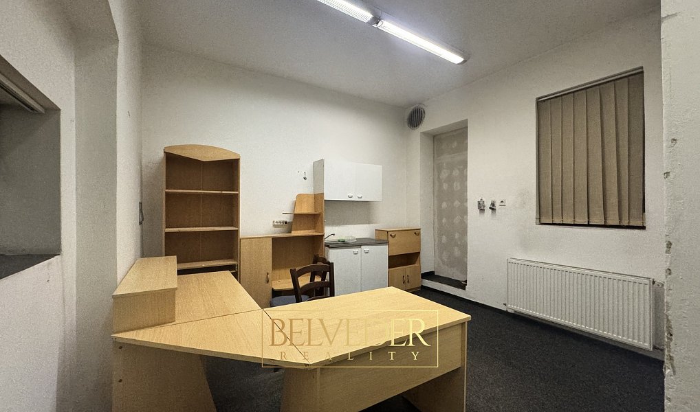 Pronájem obchodních prostor 140 m², Teplice – náhled fotky 10