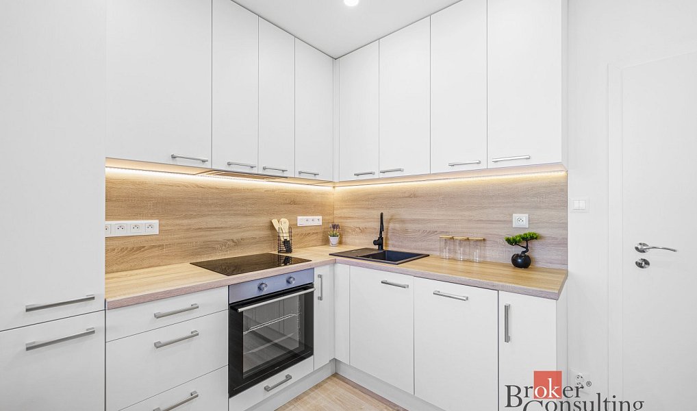 Prodej bytu 3+kk 52 m², Plzeň – náhled fotky 2