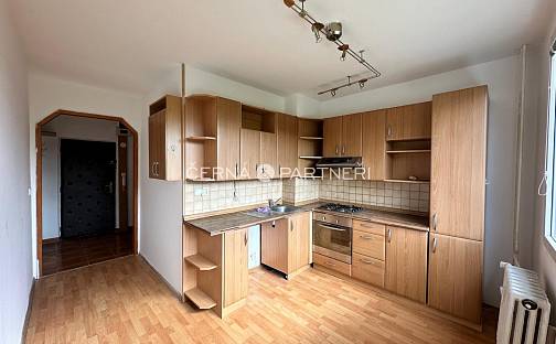 Prodej bytu 1+1 42 m², Holešická, Chomutov