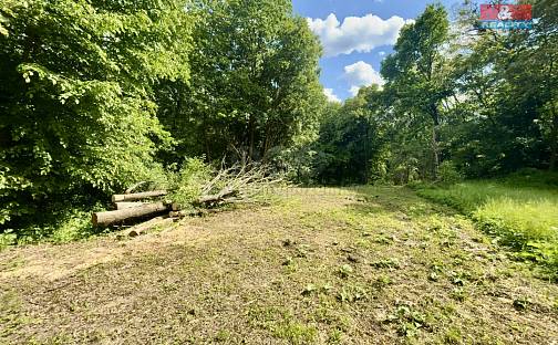 Prodej zahrady 2 923 m², Šarovy, okres Zlín