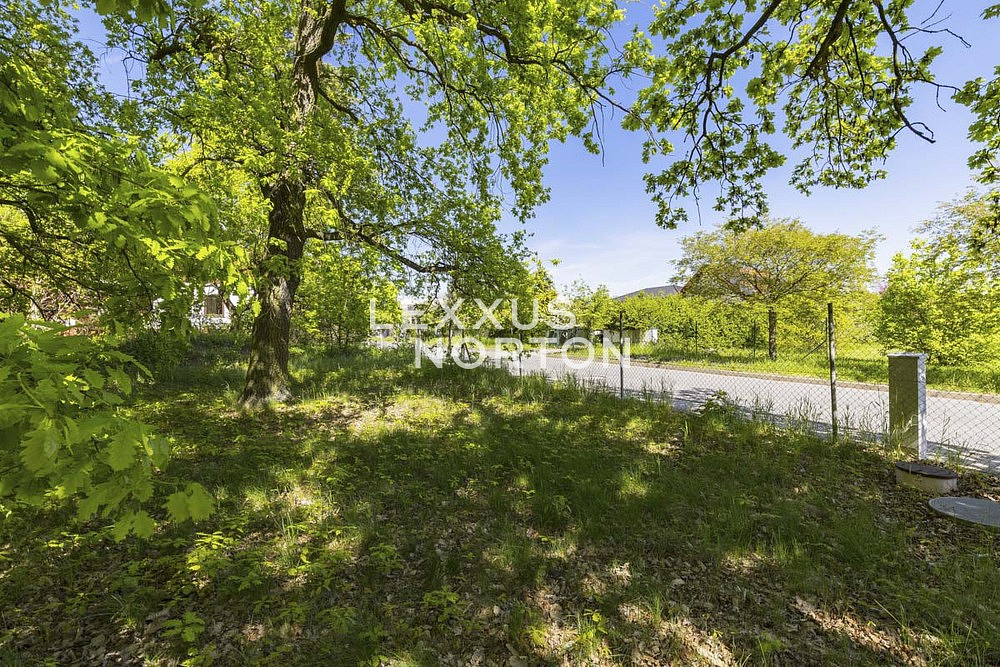 Prodej stavebního pozemku 1 282 m² — photo 4