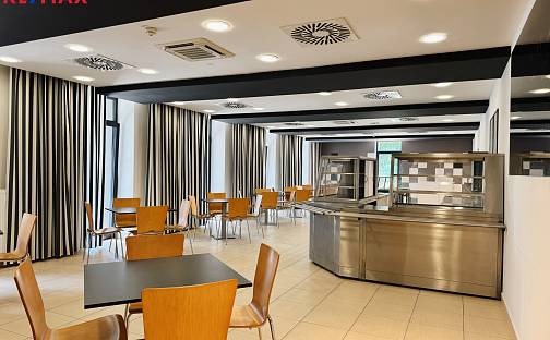 Pronájem restaurace 362 m², Vladislavova, Písek - Pražské Předměstí