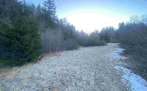 Prodej pozemku 2 377 m², Železná Ruda, okres Klatovy