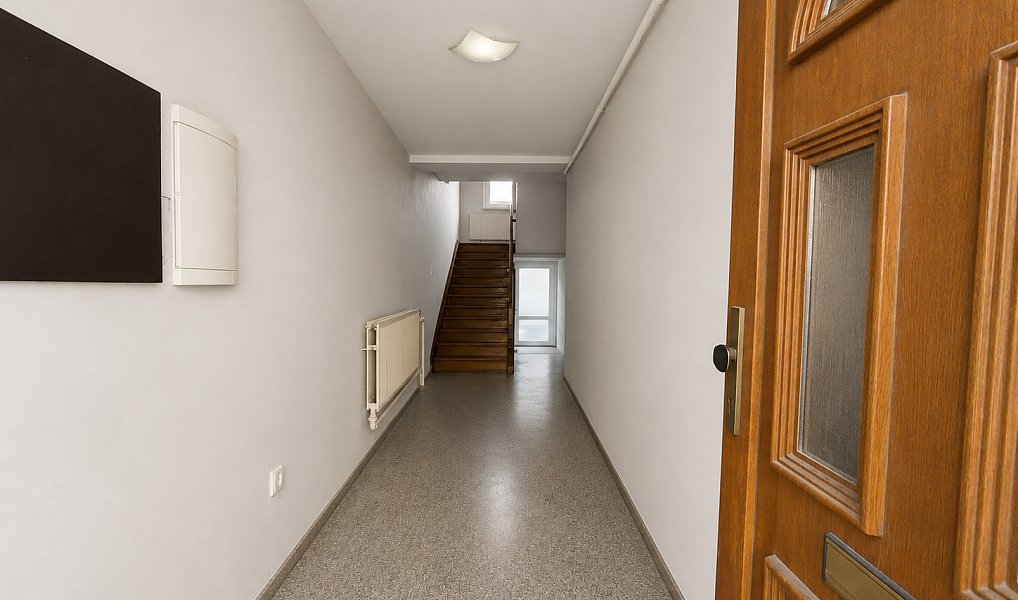 Prodej domu 260 m² s pozemkem 431 m², Němčice nad Hanou – náhled fotky 3