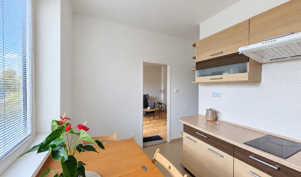 Pronájem bytu 2+1 49 m², Teplice – náhled fotky 3