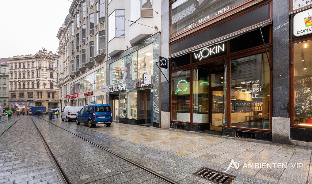 Prodej obchodních prostor 494 m², Brno – náhled fotky 27