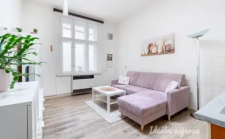 Pronájem bytu 2+kk 45 m², U staré školy, Praha 1 - Staré Město