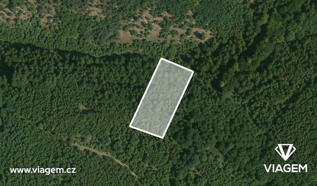 Prodej lesa 844 m², Řendějov – náhled fotky 2