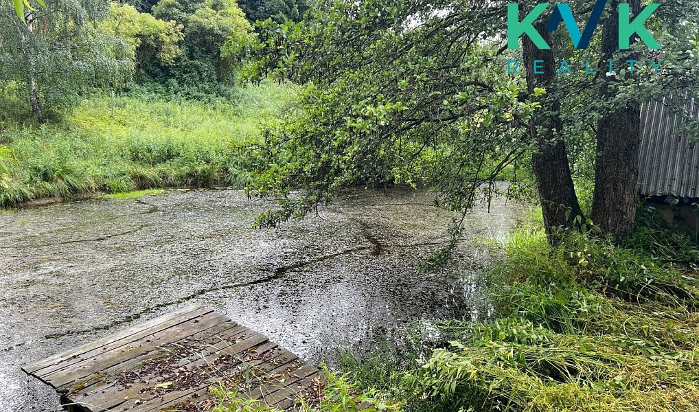 Pronájem zahrady 3 000 m², Sadov – náhled fotky 5