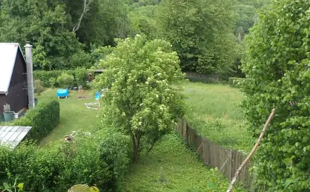 Dražba louky 159 m², Velké Březno