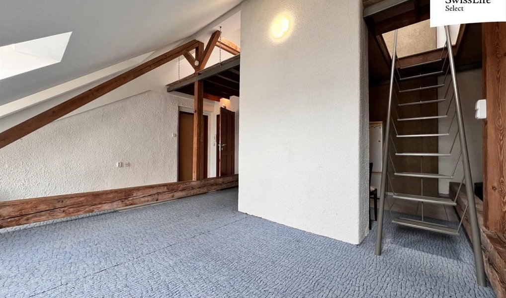 Pronájem bytu 1+kk 55 m², Plzeň – náhled fotky 2