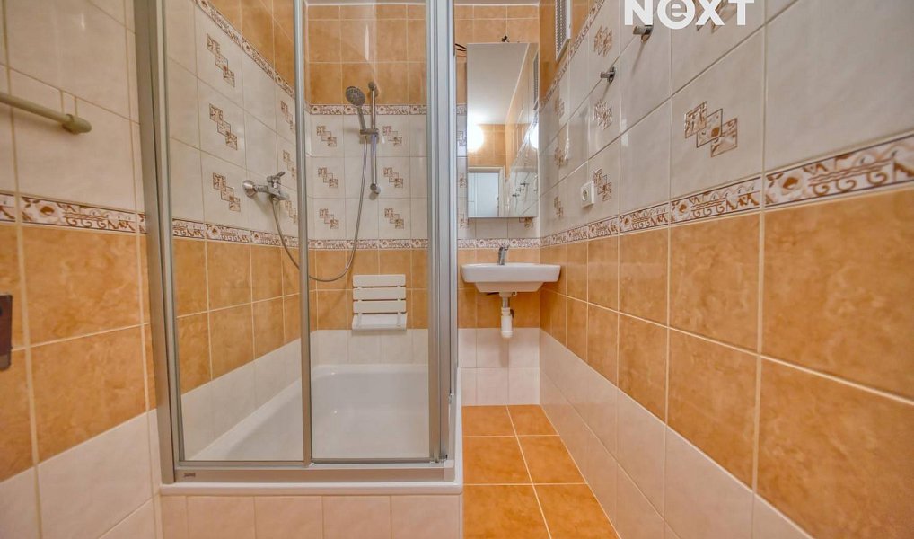 Prodej bytu 3+1 69 m², Lhenice – náhled fotky 10