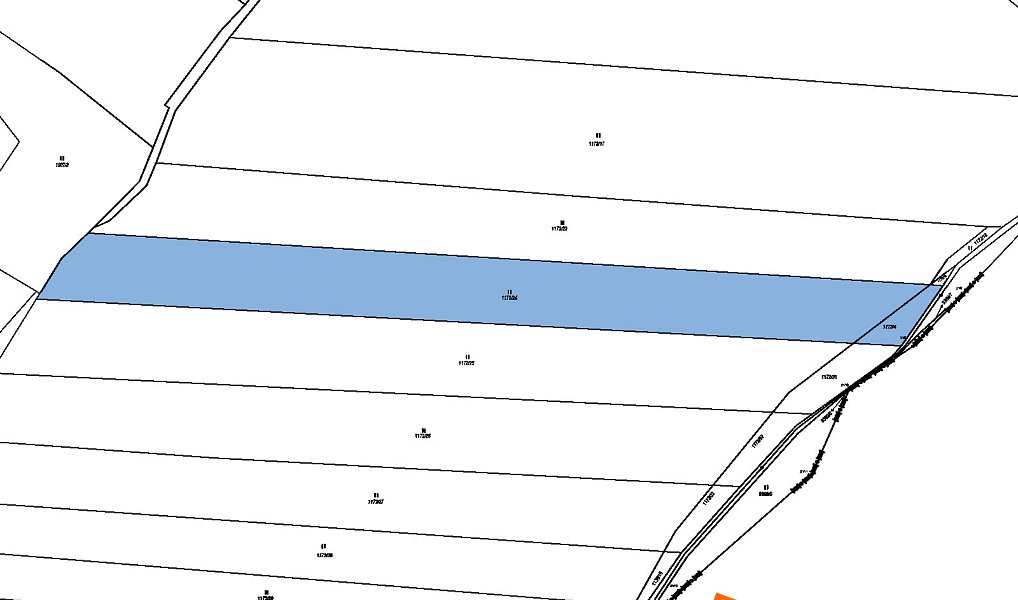 Prodej pozemku 10 861 m², Žítková – náhled fotky 3