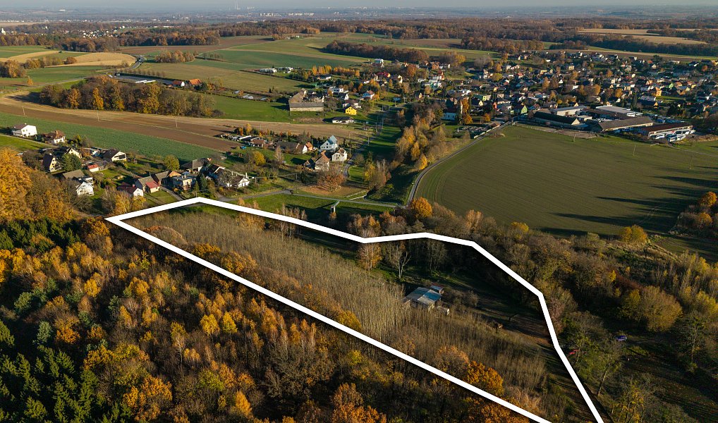 Pronájem komerčního pozemku 22 800 m², Markvartovice – náhled fotky 3