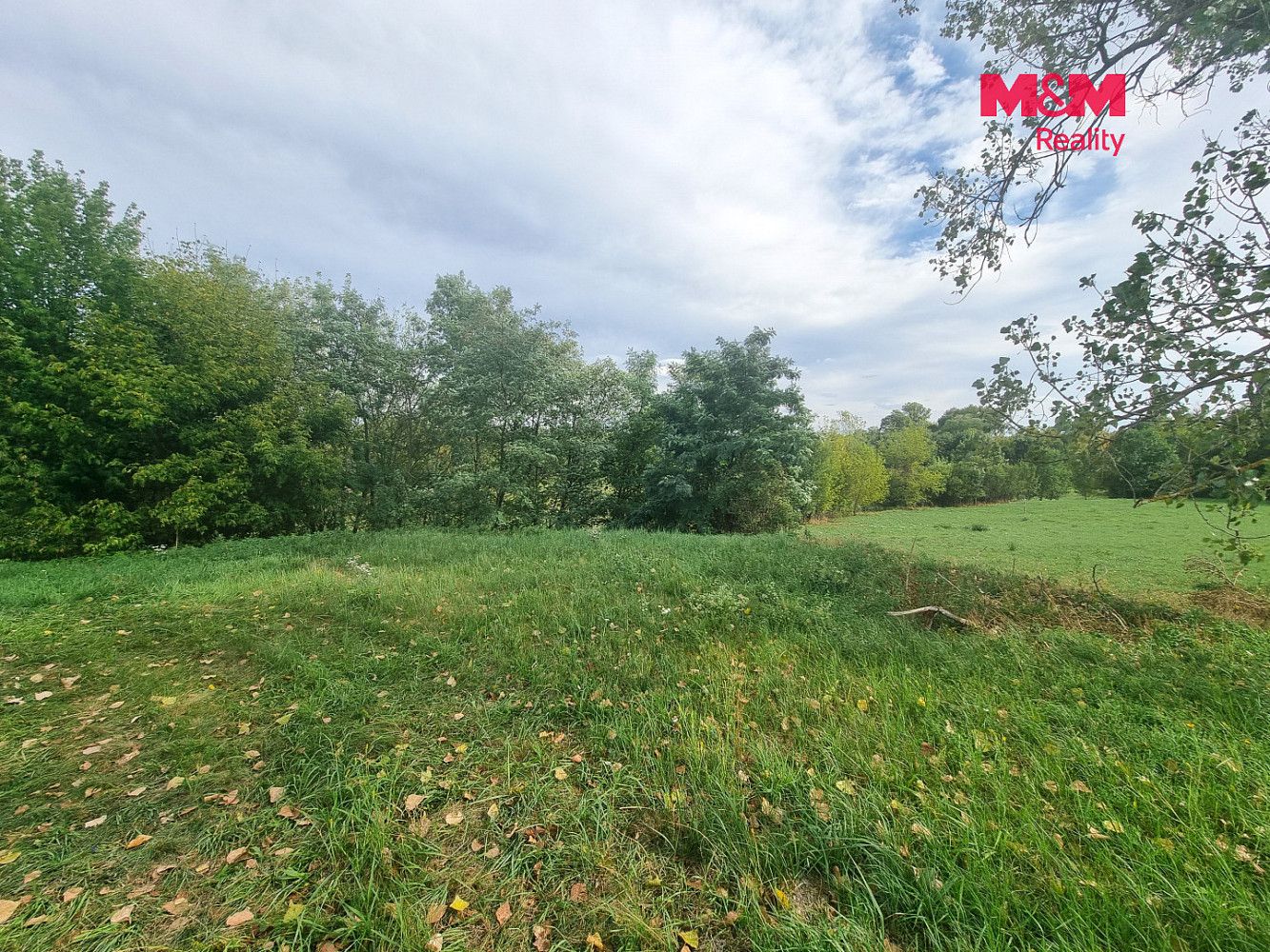 Prodej pole 5 348 m² – fotografie 4