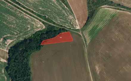 Prodej pole 4 946 m², Výrovice, okres Znojmo