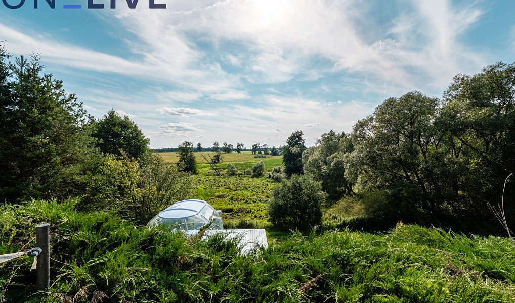 Prodej domu 650 m² s pozemkem 3 730 m², Rozvadov – náhled fotky 25