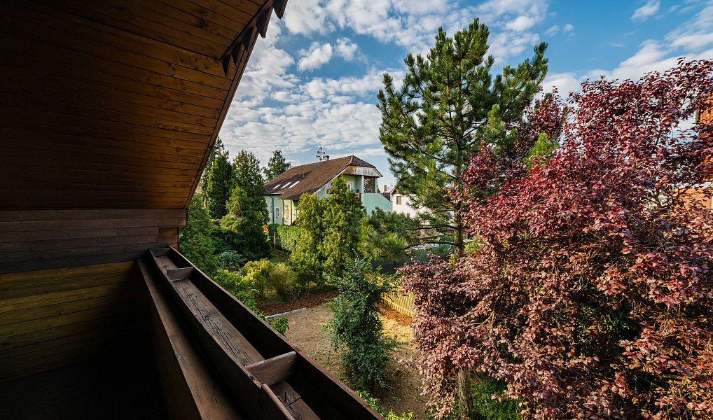 Prodej domu 297 m² s pozemkem 386 m², Planá nad Lužnicí – náhled fotky 6