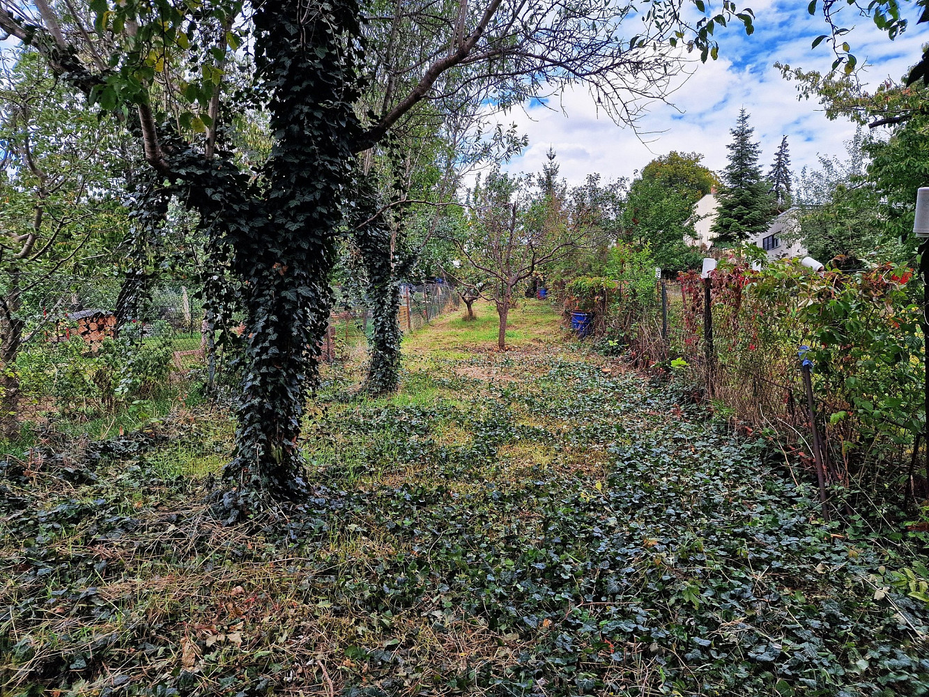 Fotka 12 z 16