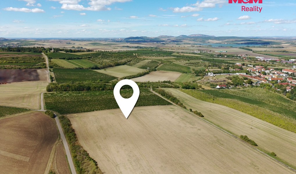 Prodej pole 9 598 m², Valtice – náhled fotky 5