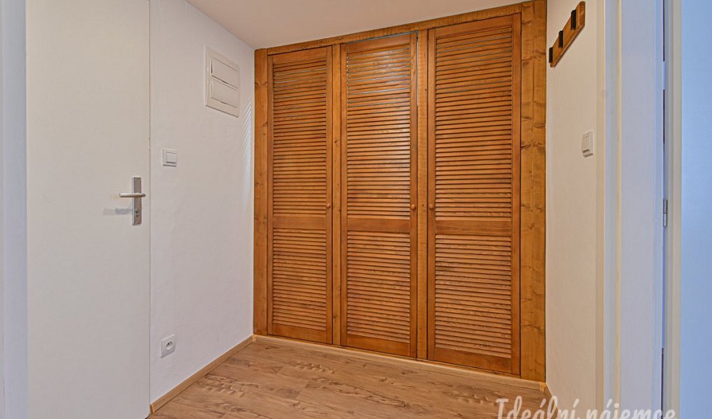 Pronájem bytu 1+kk 25 m², Brno – náhled fotky 9
