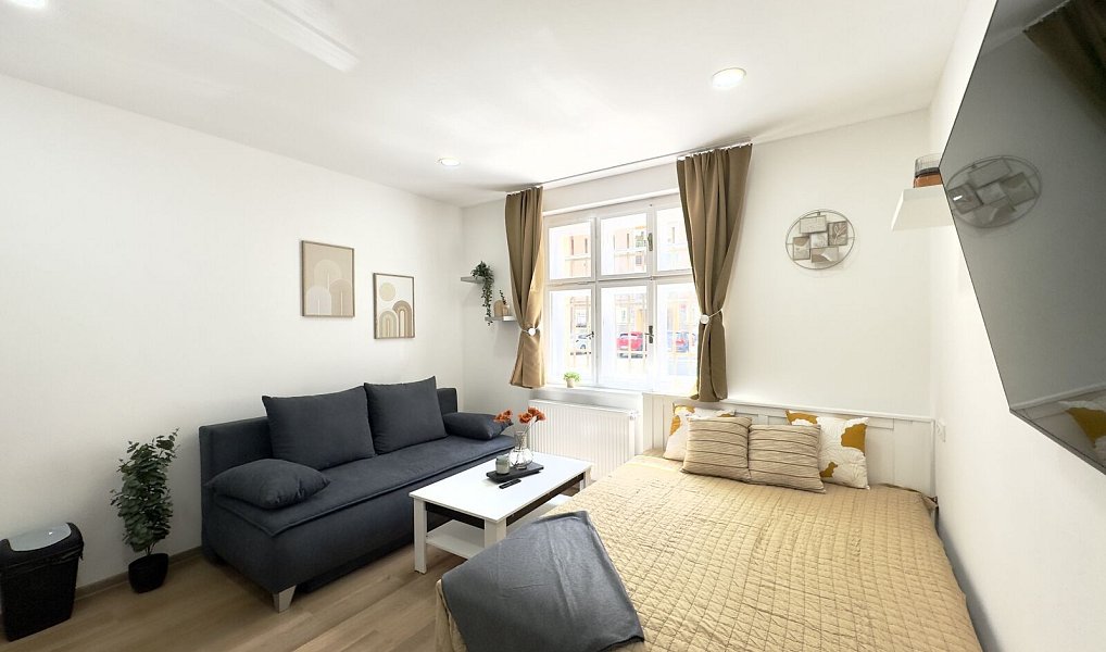 Pronájem bytu 1+kk 28 m², Liberec – náhled fotky 5