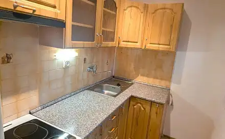 Pronájem bytu 1+1 27 m², Alšova, Bílina - Pražské Předměstí, okres Teplice