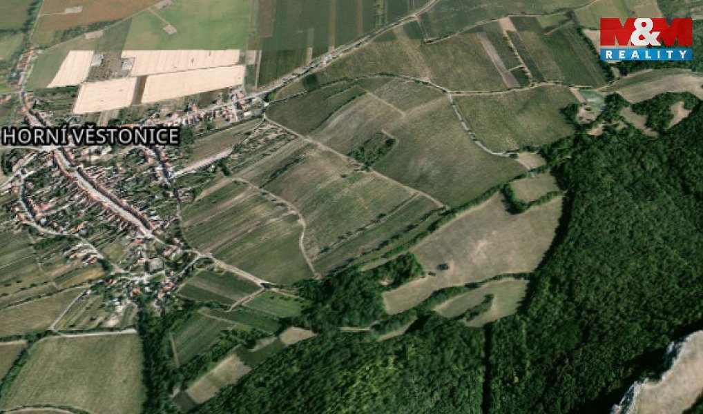 Pronájem pole 4 000 m², Horní Věstonice – náhled fotky 3