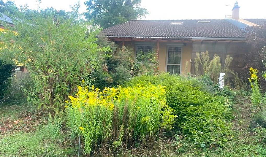 Pronájem bytu 1+kk 16 m², Praha – náhled fotky 13
