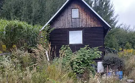 Prodej chaty/chalupy 16 m² s pozemkem 16 m², Rapotín, okres Šumperk