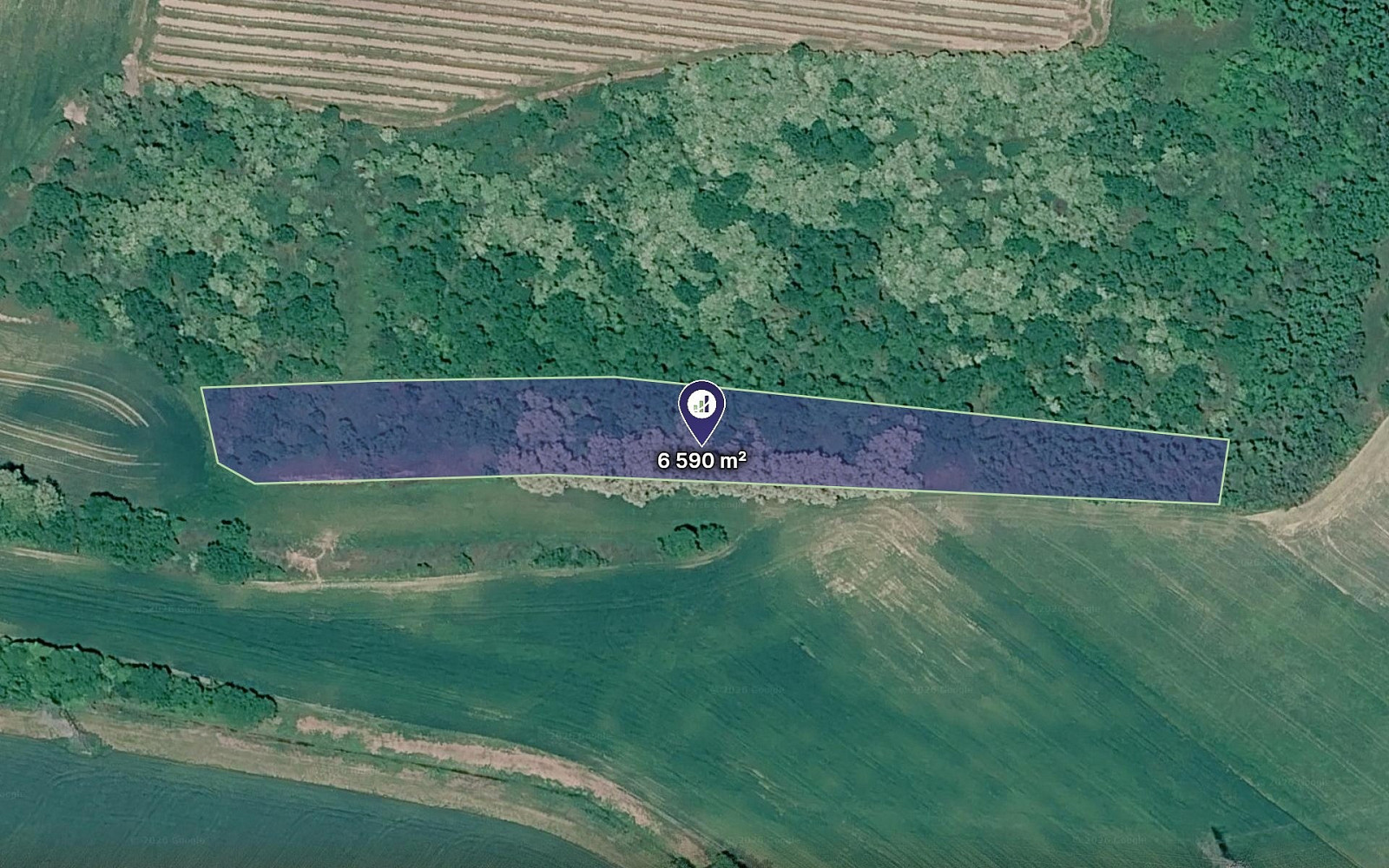 Prodej pole 3 295 m²