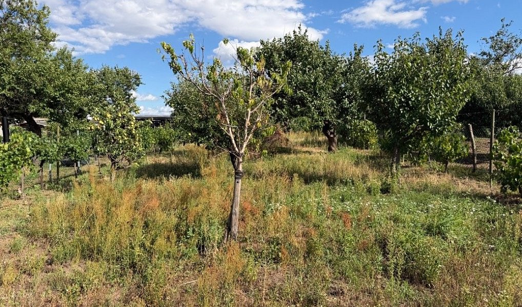 Prodej domu 119 m² s pozemkem 1 162 m², Lužice – náhled fotky 13