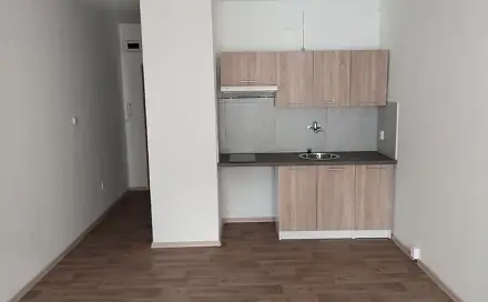 Pronájem bytu 1+kk 30 m², U Parku, Ostrava - Moravská Ostrava