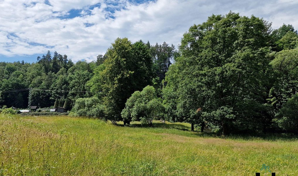 Prodej louky 11 314 m², Janská – náhled fotky 19