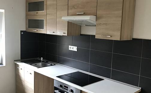 Pronájem bytu 2+1 53 m², nám. V. Levého, Liběchov, okres Mělník