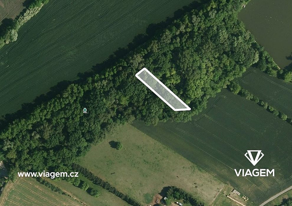 Prodej lesa 462 m²
