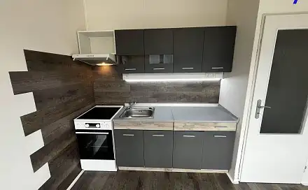 Pronájem bytu 1+1 36 m²
