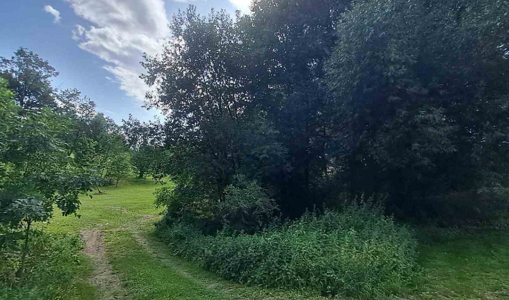 Prodej stavebního pozemku 3 506 m², Světlá Hora – náhled fotky 11